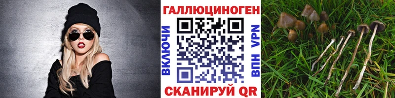Псилоцибиновые грибы Magic Shrooms  Пыталово 